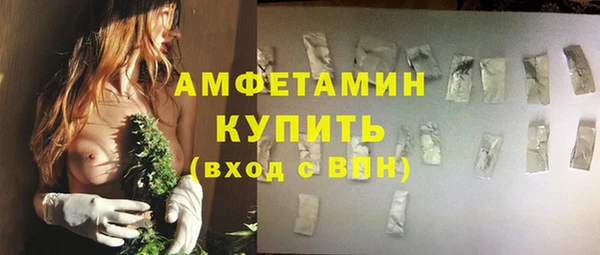 шишки Вяземский